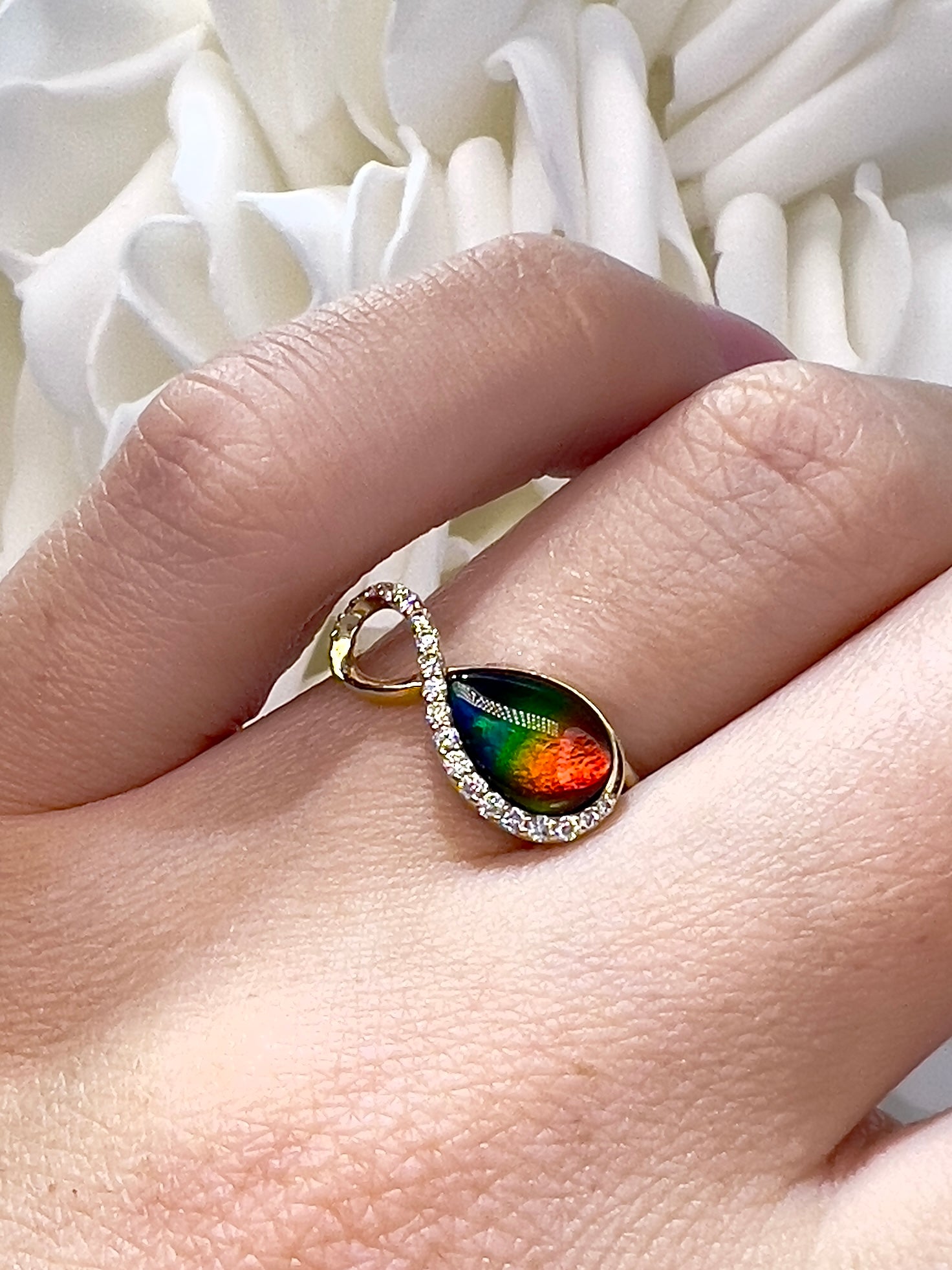 Korite Infinity Collection Ammolite Ring | 14k Yellow Gold