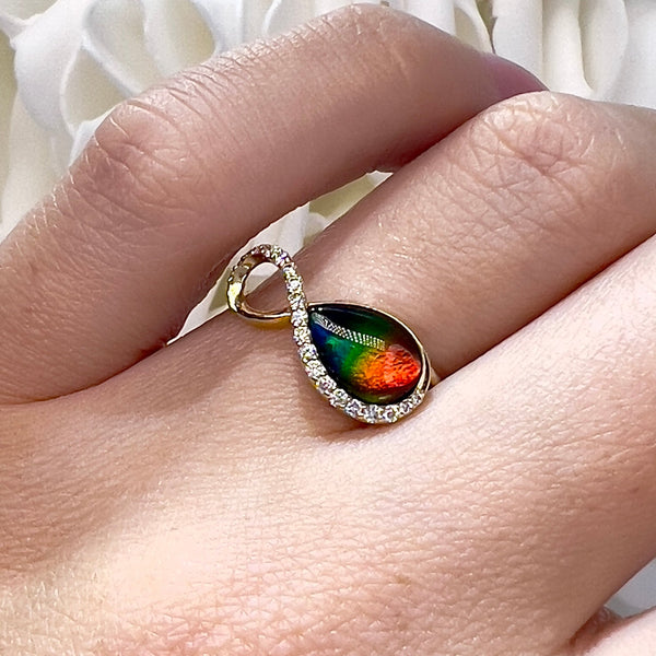 Korite Infinity Collection Ammolite Ring | 14k Yellow Gold