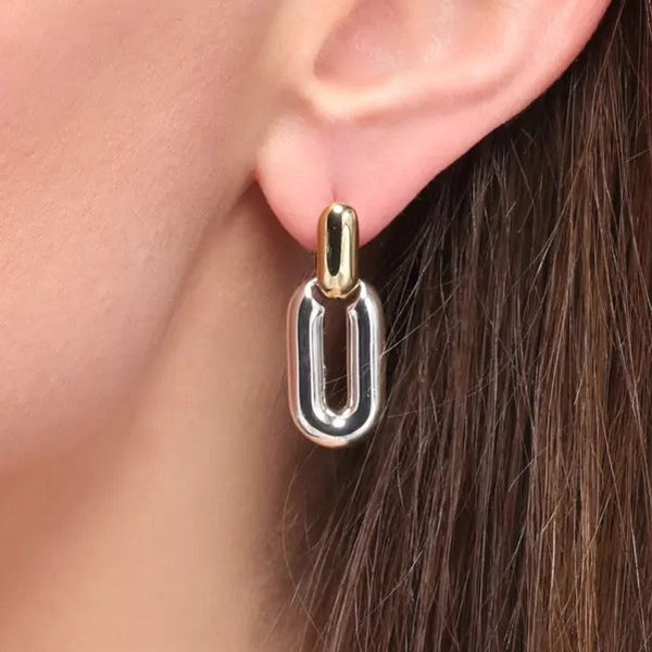 Jenny Bird Puffy Detachable Link Earrings | Two Tone
