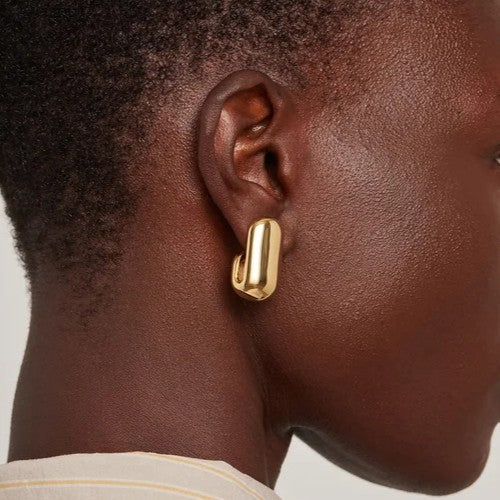 Jenny Bird Leon Earrings | Gold Plated